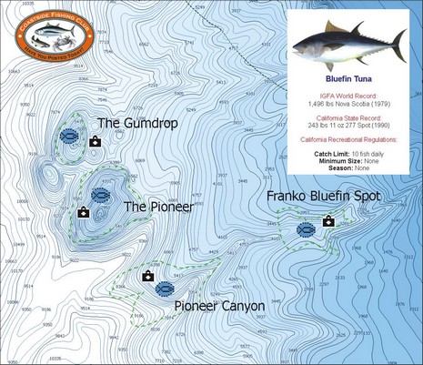 World Record Fish Chart